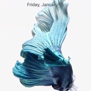 Meet your Posher, Alexander